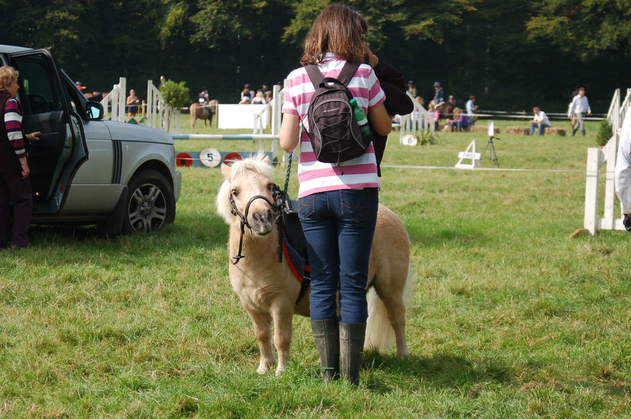 Smallest pony at the show?